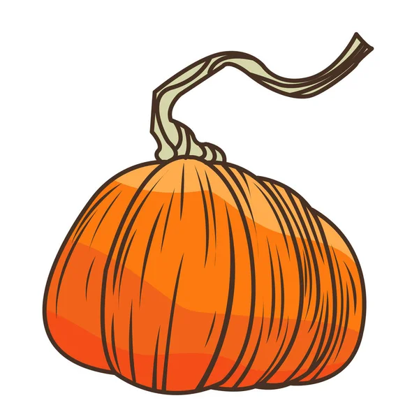Tök Borostyán Lapos Design Illusztráció Dekoráció Természet Élelmiszer Mezőgazdaság Halloween — Stock Vector