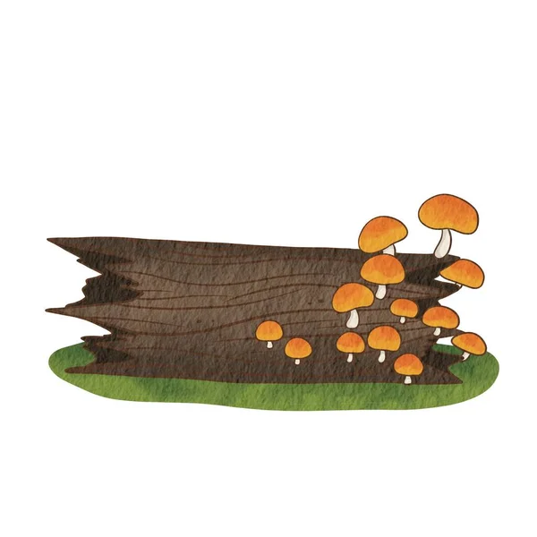 Yellow Mushroom Log Illustration Decoration Nature Scenes Nature Concept — Stock Photo, Image