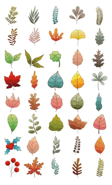 Красочные Листья Плоский Дизайн Иконка Украшения Природу Концепции — стоковый вектор