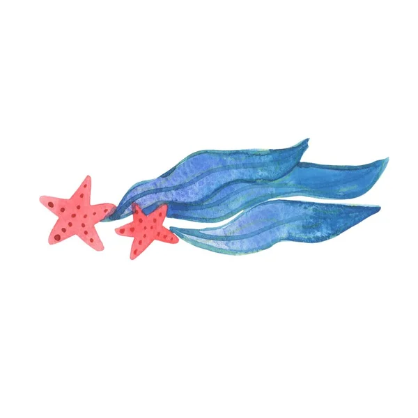 Deniz Yosunlu Kırmızı Denizyıldızı Suluboya Çizimi Deniz Yaşamını Kurutmak Için — Stok fotoğraf