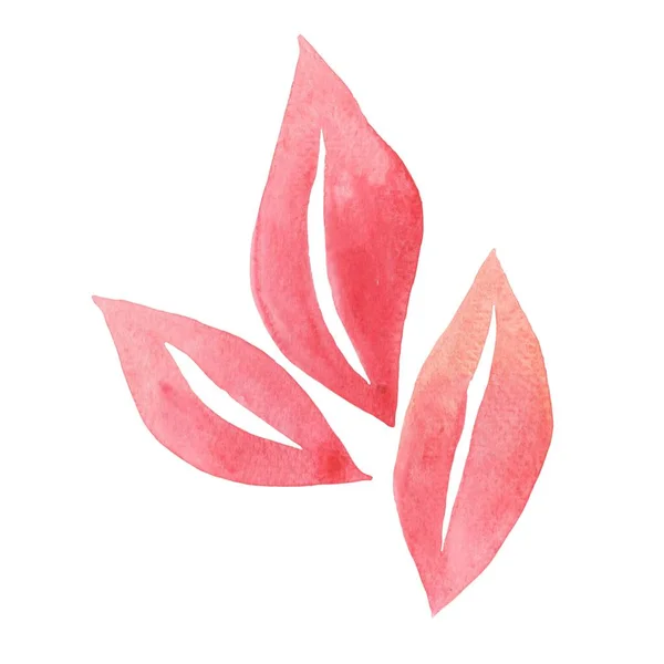 红叶群标志着秋天季节和自然概念的水彩装饰 — 图库照片