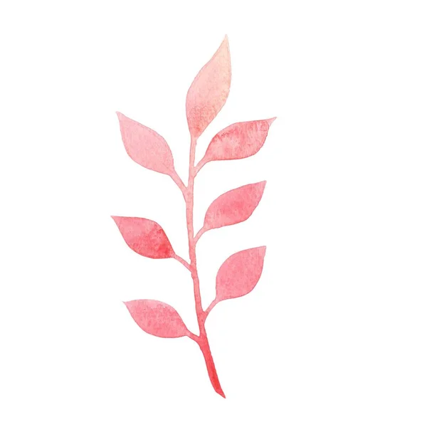 Hromada Červených Listů Znamení Akvarel Pro Dekoraci Podzim Sezónní Přírodní — Stock fotografie