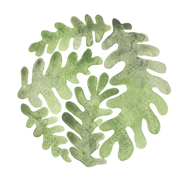 热带蕨叶圆形花环水彩画自然概念 — 图库照片