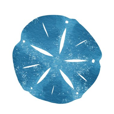 Deniz yaşamı, deniz ürünleri, deniz ürünleri ve kıyı yaşamı konsepti üzerine süsleme için soyut kum dolar suluboya çizimi.