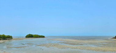 Mangrov ormanlarının yanındaki tropikal sahilde gelgit var.. 