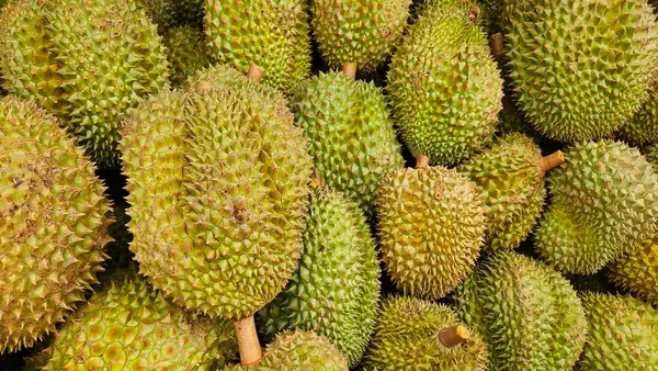 Stock image Durians king of fruit background for sale in fruit shop market.