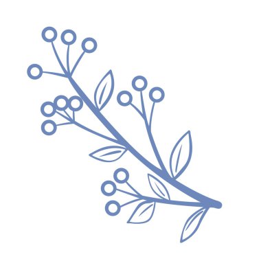 Doğa ve süs konsepti üzerine dekorasyon için böğürtlenli yapraklar ve meyveler..