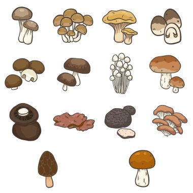 Sebze ve yemek malzemeleri üzerine dekorasyon için yenilebilir mantar çizimi.