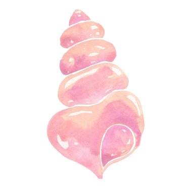 Sweet pink and purple seashell watercolor illustration for decoration on summer beach, nautical and coastal concept. clipart