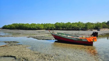 Mangrove ormanlarının yakınındaki sahilde balıkçı teknesi parkı..