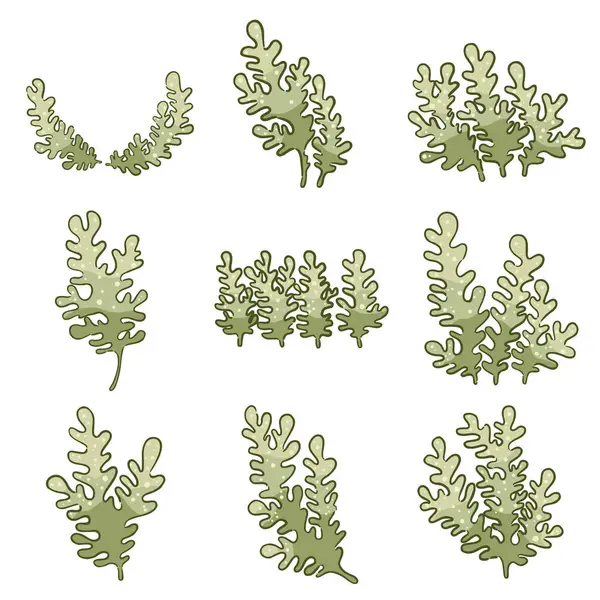 Akvaryum, okyanus, deniz yaşamı ve yiyecek konsepti üzerine dekorasyon için deniz yosunu düz tasarımı çizimi