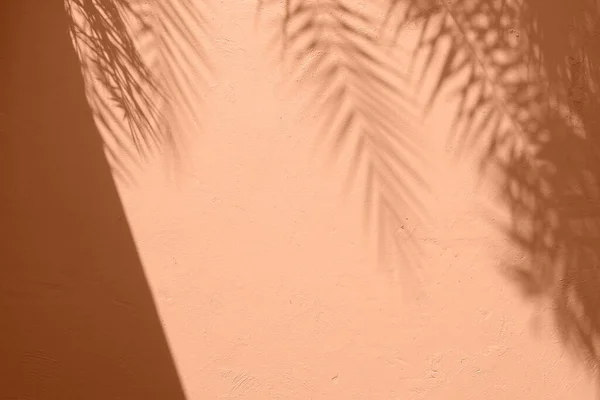 Palm leaves shadow on peach color cement plaster wall texture tropical summer background