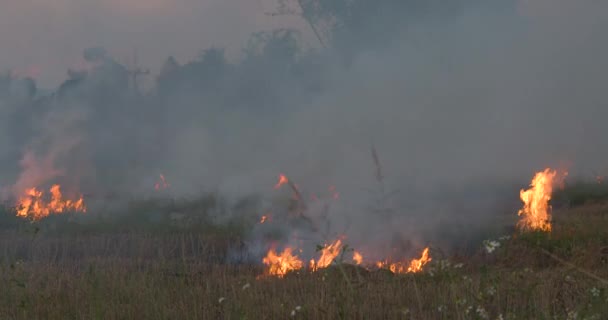 Luchtverontreiniging Door Seizoensgebonden Verbranding Door Landbouwers Die Het Droge Seizoen — Stockvideo