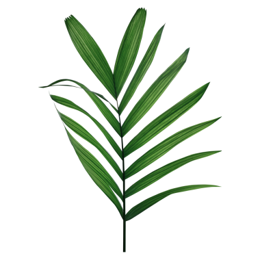 Palmiye yapraklarında yeşil tropik palmiye yaprakları