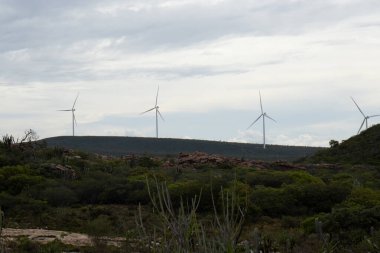 view of large wind farm on cloudy day
