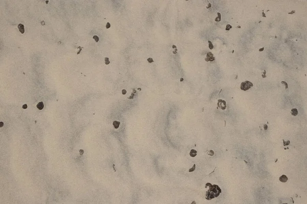 Παραλία Άμμος Γεμάτη Πίσσα — Φωτογραφία Αρχείου