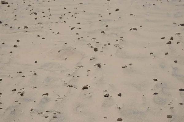 Sand Strand Voller Bitumen — Stockfoto