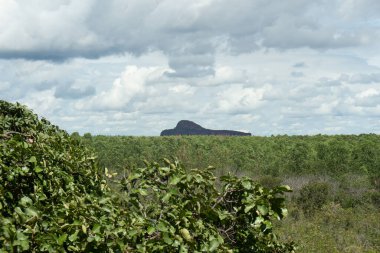 Brezilya Cerrado 'sunun güzel manzarası ve bonservis tepesi