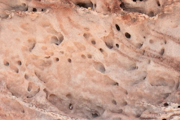 美しいサーモン砂岩の自然な質感 — ストック写真