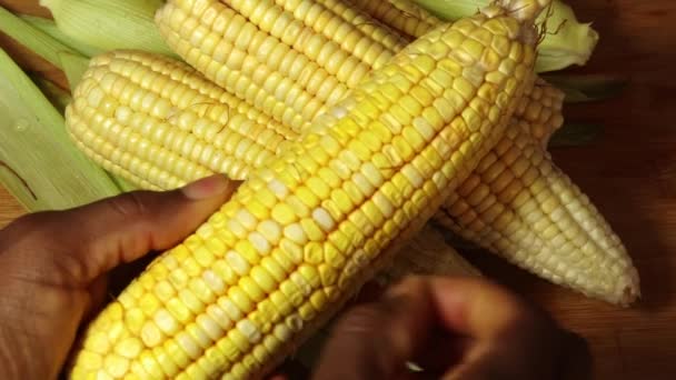 Hands Husking Corn Kernels Brazilian June Party — Stock Video