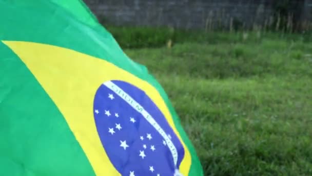 Braziliaanse Vlag Schudden Een Groene Achtergrond — Stockvideo