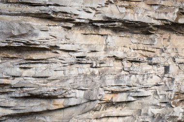 Kaya dokusunun bej tonundaki ön görüntüsü