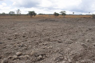 ... tarıma hazır harap arazisi olan araziye yakından bakmak.