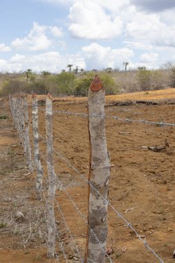 Ekmek için araziye yakın bir çitin manzarasını kapatın.