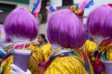 Maragogipe, Brasil - 11 Şubat 2024 - karnaval kostümlü yakın karakterler