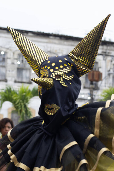 Марагожипи, Бразилия - 11 февраля 2024 года - закрытие персонажей в карнавальных костюмах