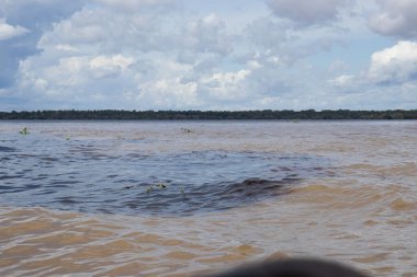 Kara Rivr ve Solimes Nehri 'nin buluşması. Arka planda Amazon Ormanı var.