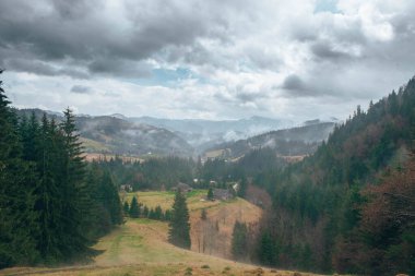 Majestic Wilderness: Bir Dağ Ormanı Doğanın Görkemliliğini Yakalıyor, Yüksek Ağaçlar, Serene Gölleri ve Görkemli Tepeler Huşu ve Harikalar ile