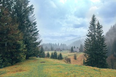 Majestic Wilderness: Bir Dağ Ormanı Doğanın Görkemliliğini Yakalıyor, Yüksek Ağaçlar, Serene Gölleri ve Görkemli Tepeler Huşu ve Harikalar ile
