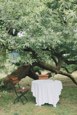 Green leaves with table for two in background, under the tree foliage. Romantic getaway concept. Outdoor dining in rustic garden. Selective focus.