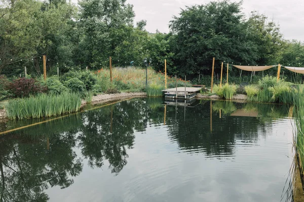 Natürliches Schwimmbad Mit Artenvielfalt Ländlichen Ferienort Sauberes Teichwasser Mit Baumreflexion Stockbild