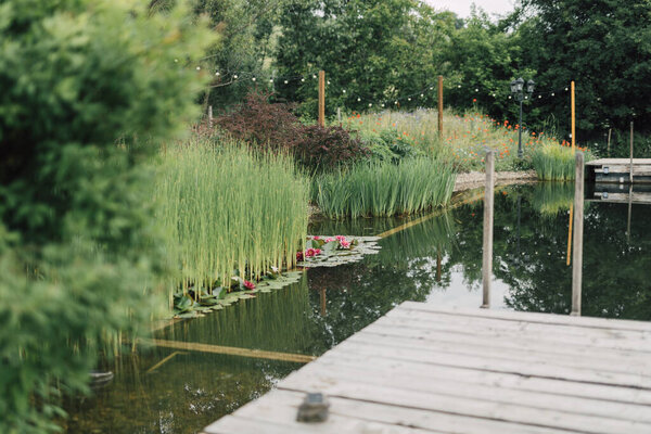 Natural Swimming Pool Water Lilies Countryside Resort Clean Pond Water Royalty Free Stock Photos