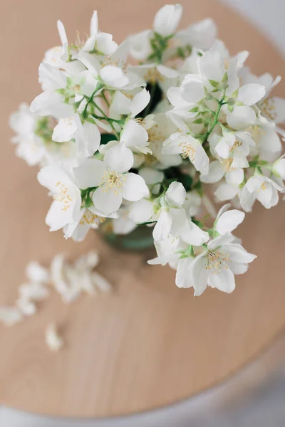 Bouquet Fresh White Jasmine Flowers Indoor Arrangement Flowering Shrub Springtime — Stock Photo, Image