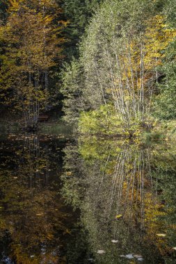 Vorarlberg, Avusturya 'daki Boedelesee Gölü' nün muhteşem yansımaları