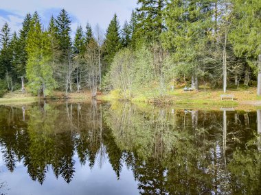 Avusturya 'daki Fohramoos Avrupa koruma alanından geçiyor.