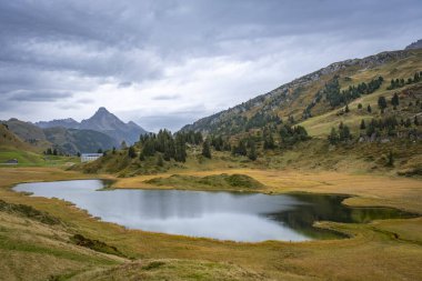 Avusturya, Vorarlberg 'deki renkli bitkilerle Hochtannberg' deki Alpler 'deki Kalbelesee dağında yürüyorum.