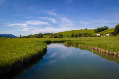 Avusturya 'nın Irrsee çevresindeki harika yerel dinlenme alanı