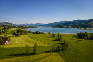 Avusturya 'nın Irrsee çevresindeki harika yerel dinlenme alanı
