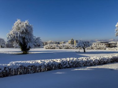 Avusturya, Lochau 'da kar yağan harika kış harikalar diyarı