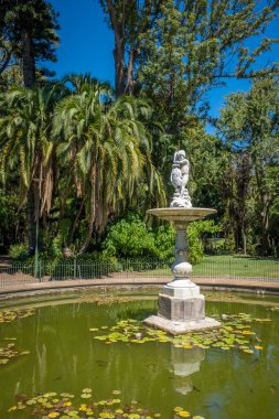 Güney Afrika 'daki Cape Town' a gidiyorum.