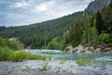 Vorderrhein nehri boyunca yürüyorum. İsviçre 'deki cezaevi kantonunda.