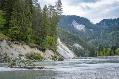 Vorderrhein nehri boyunca yürüyorum. İsviçre 'deki cezaevi kantonunda.