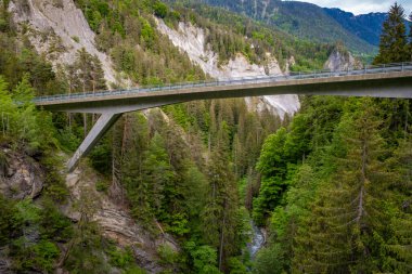 İsviçre 'deki Rheinschlucht' da ilginç bir manzara.