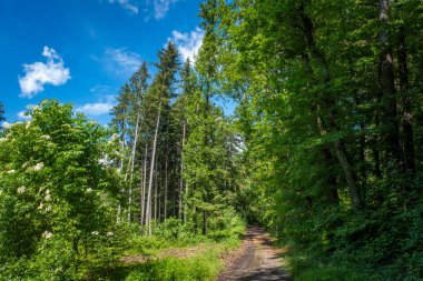 Güney Almanya 'daki Degersee' de Yerel Rekreasyon Areal