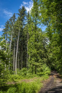 Güney Almanya 'daki Degersee' de Yerel Rekreasyon Areal