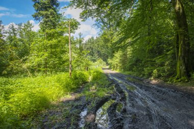 Güney Almanya 'daki Degersee' de Yerel Rekreasyon Areal